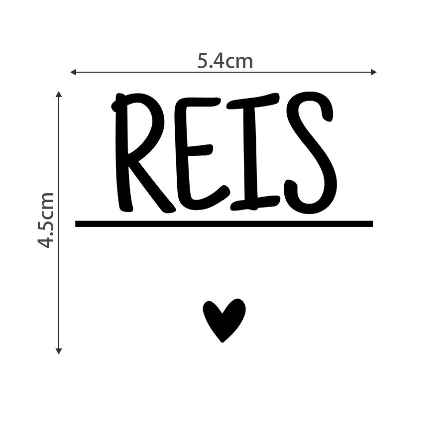 251123_Reis